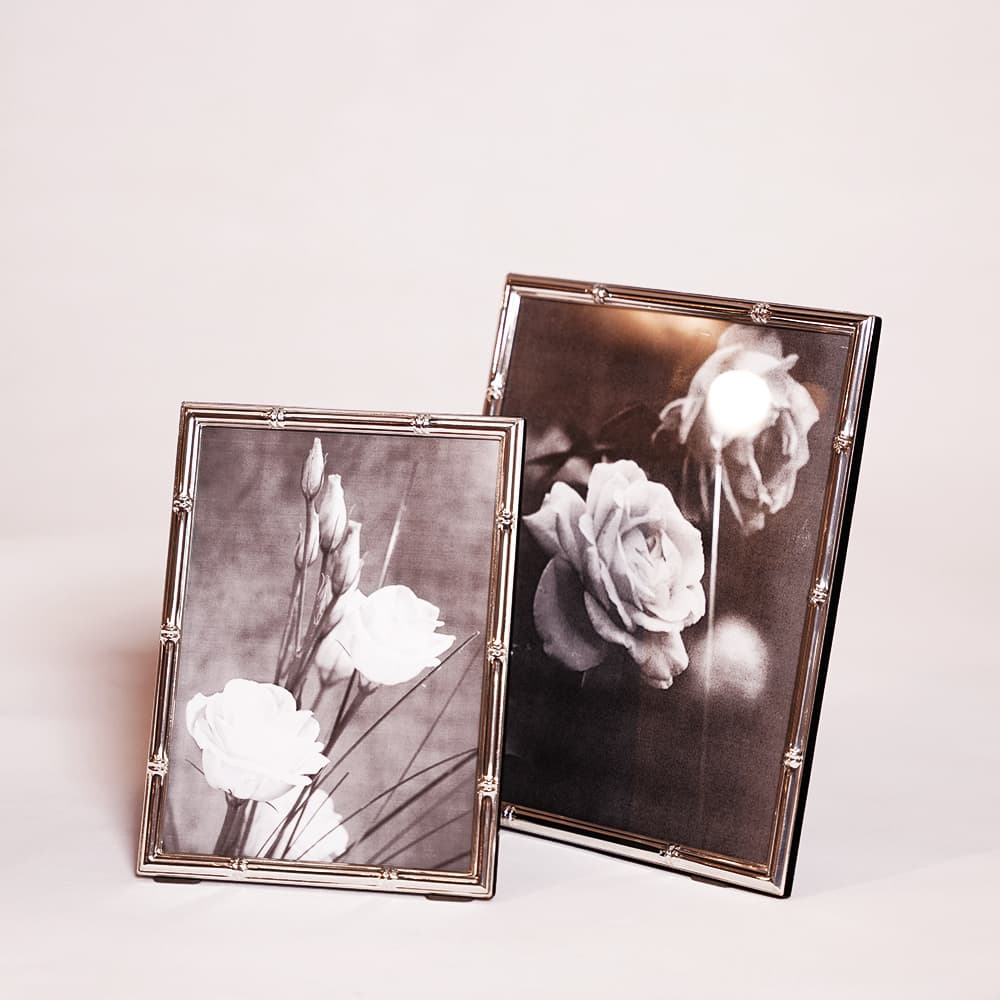 قاب عکس سیلور پلیت کوچک